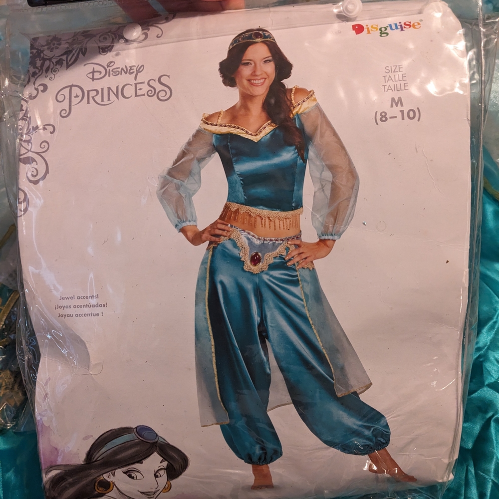 Disney Aladdin Jasmine Costume